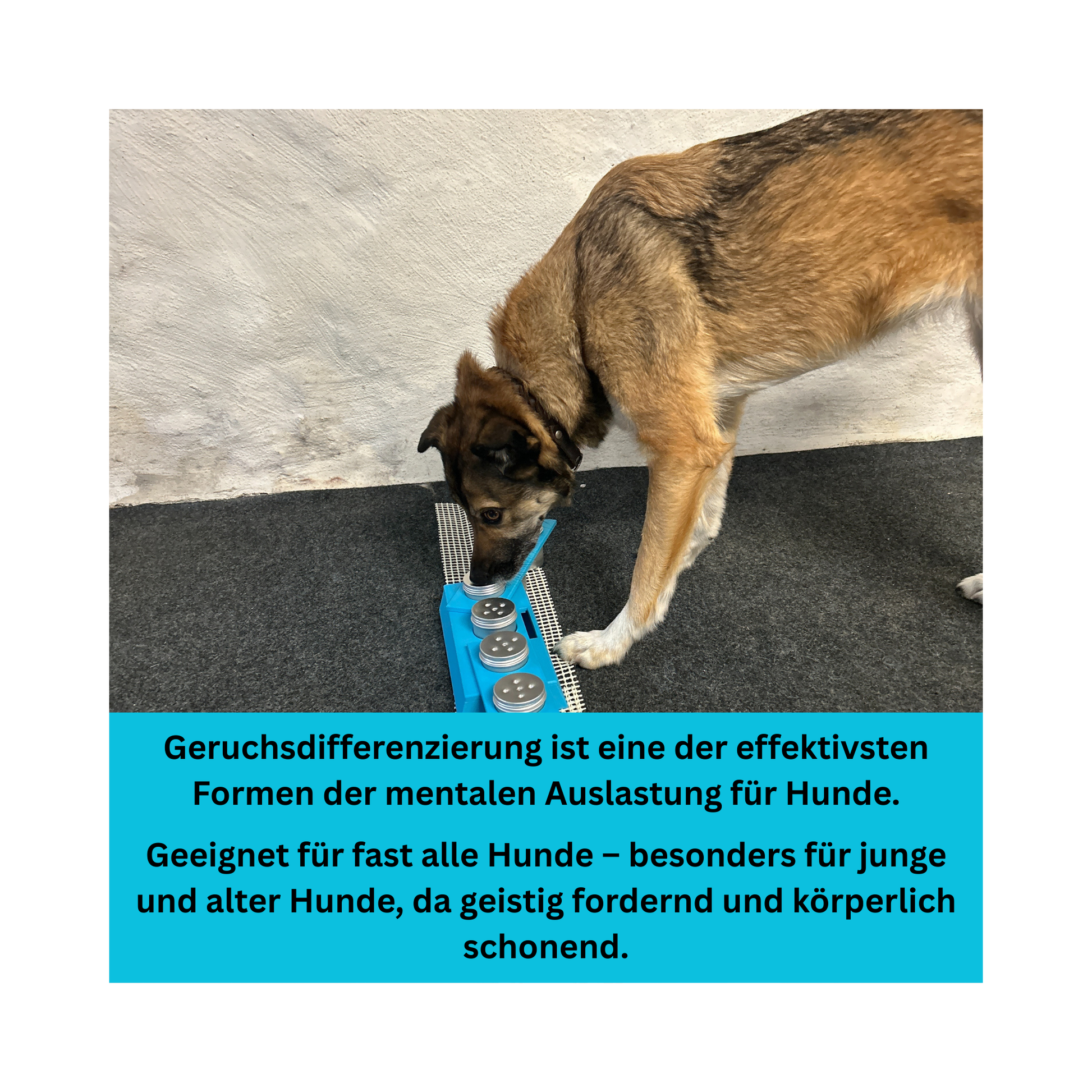 2er-Set Schnüffelstation