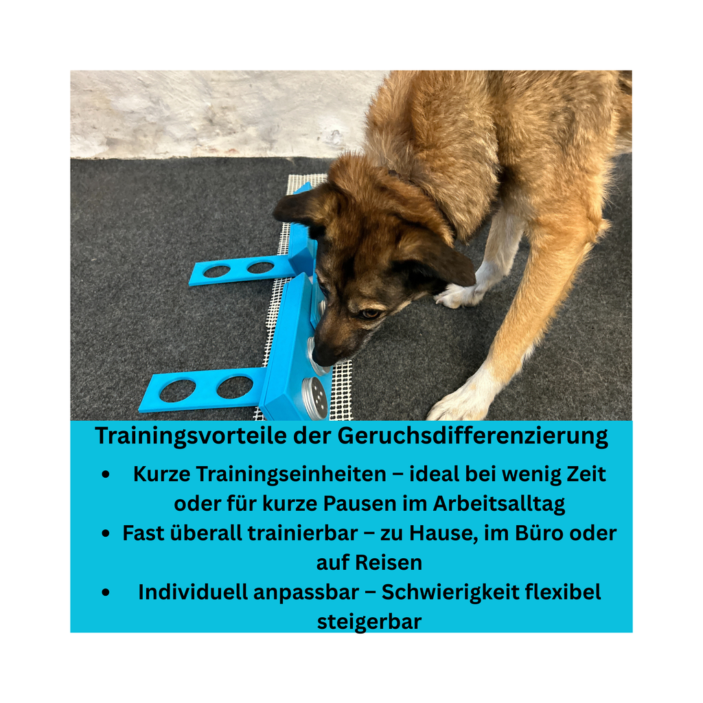 2er-Set Schnüffelstation